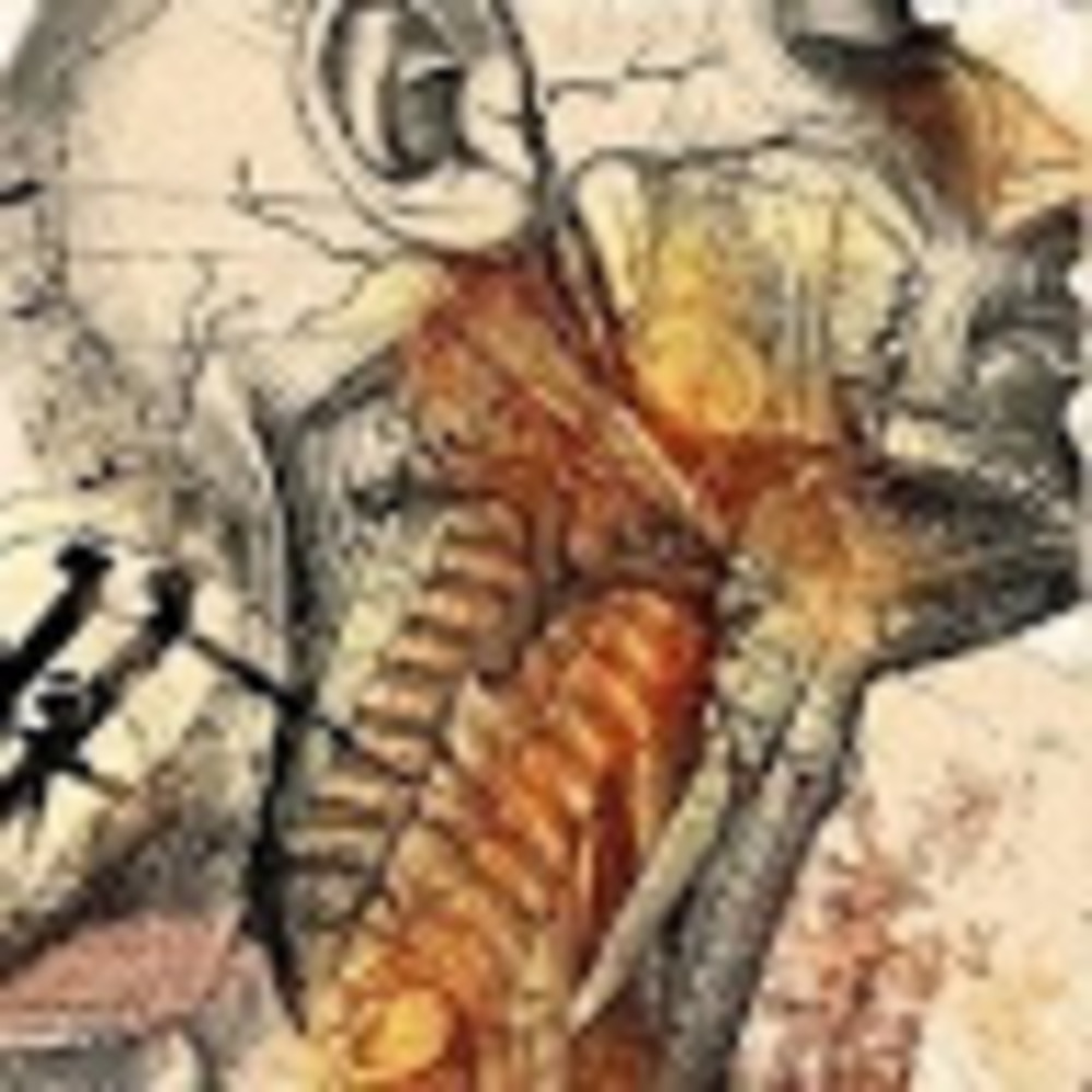 Meet your Posher, Ea